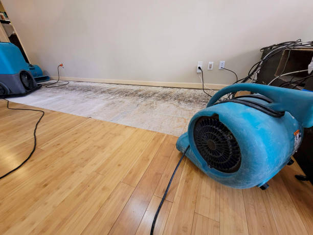 Professional Basement Flood Cleanup technician working in Springdale, AR
